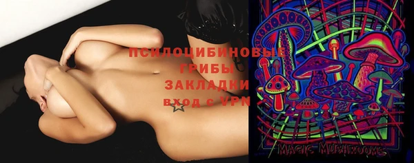 mdpv Алзамай