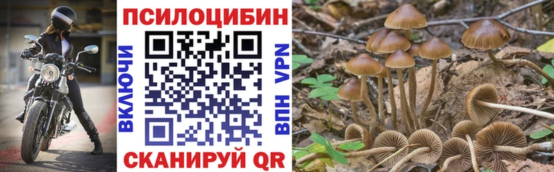где найти наркотики  Медынь  Псилоцибиновые грибы GOLDEN TEACHER 